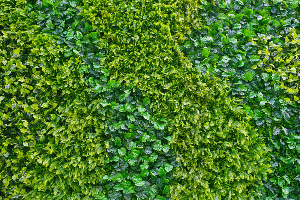 overgrowth leaf cover living wall wallpaper mural