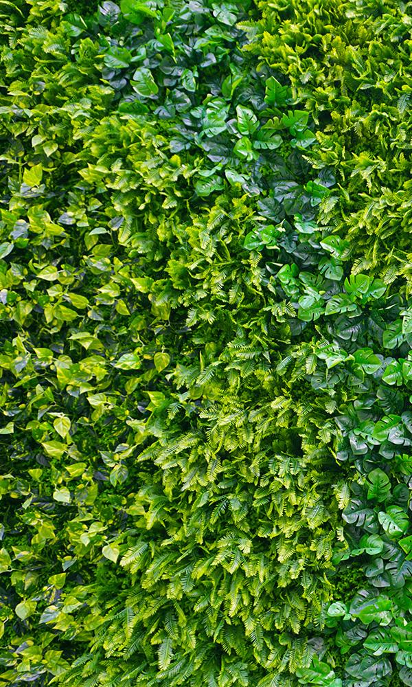 overgrowth leaf cover living wall wallpaper mural
