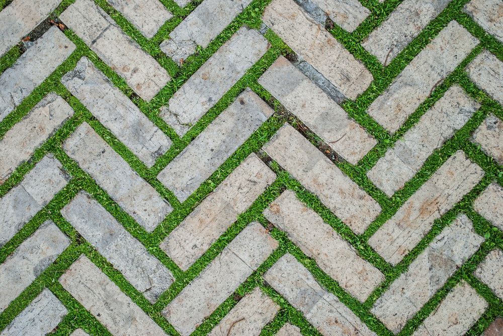 overgrowth herringbone masonry living wall wallpaper mural