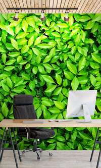 lush leaves living wall wallpaper mural