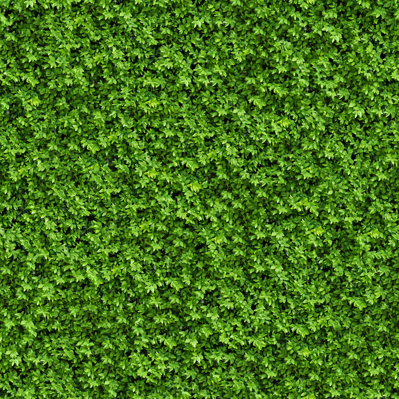 overgrowth leaf cover living wall wallpaper mural