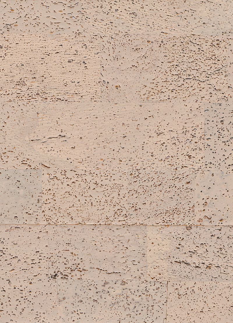 Beige Textured Retro Wallpaper R2817 | Modern Home Interior