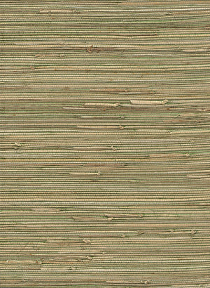 Into Nature Green and Yellow Grasscloth Wallpaper R2875