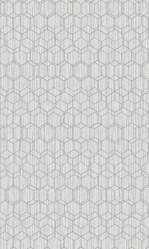 Grey Faux Printed Grasscloth Wallpaper R5687