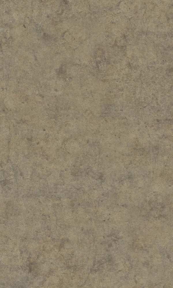 Brown Minimalist Textured Wallpaper R5755