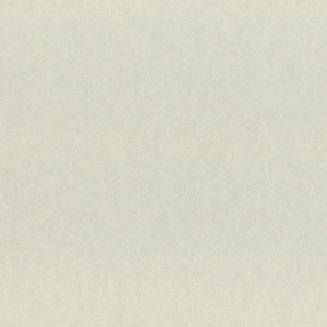 Plain Gray Vinyl Wallpaper R4034 | Modern Home Wall Covering
