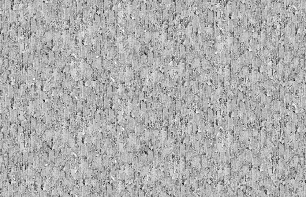 Textured Concrete M8984