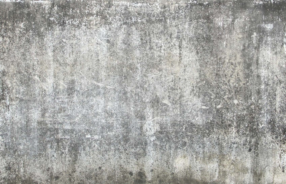 Coarse Concrete Faux Finish Wall Mural M8991