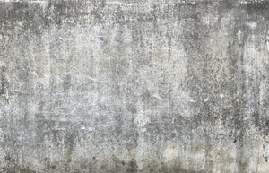 Coarse Concrete Faux Finish Mural Wallpaper M8991