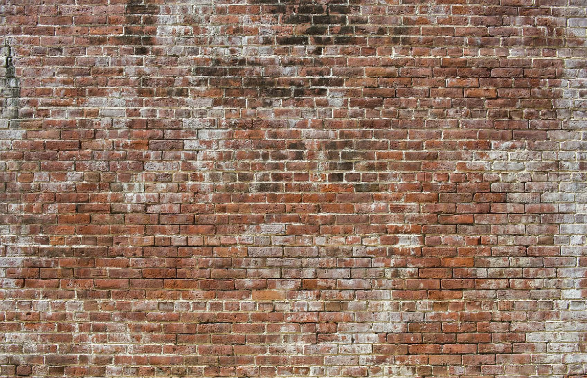 Historic Brick Digital Mural Wallpaper M8994 - Sample