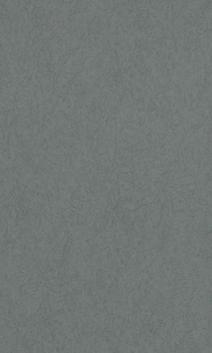 3D Ash Gray Plain Wallpaper R2889