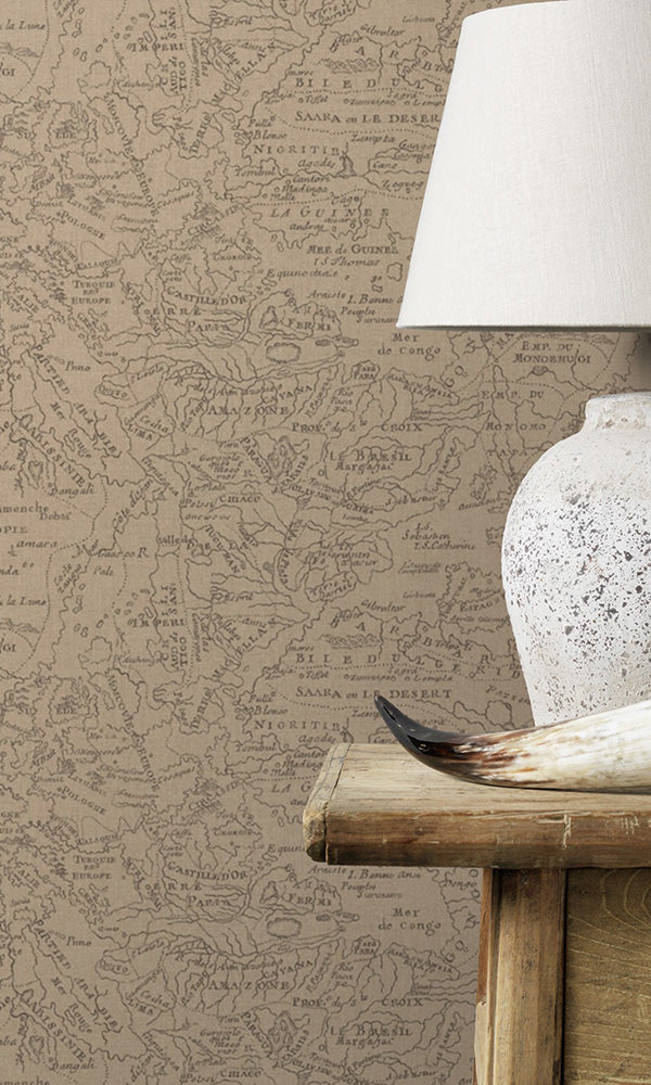 Brown Vintage Lined Map Vintage Wallpaper R6153