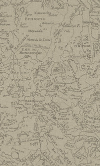 Brown Vintage Lined Map Vintage Wallpaper R6153