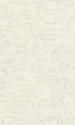 Beige Vintage Lined Map R6154