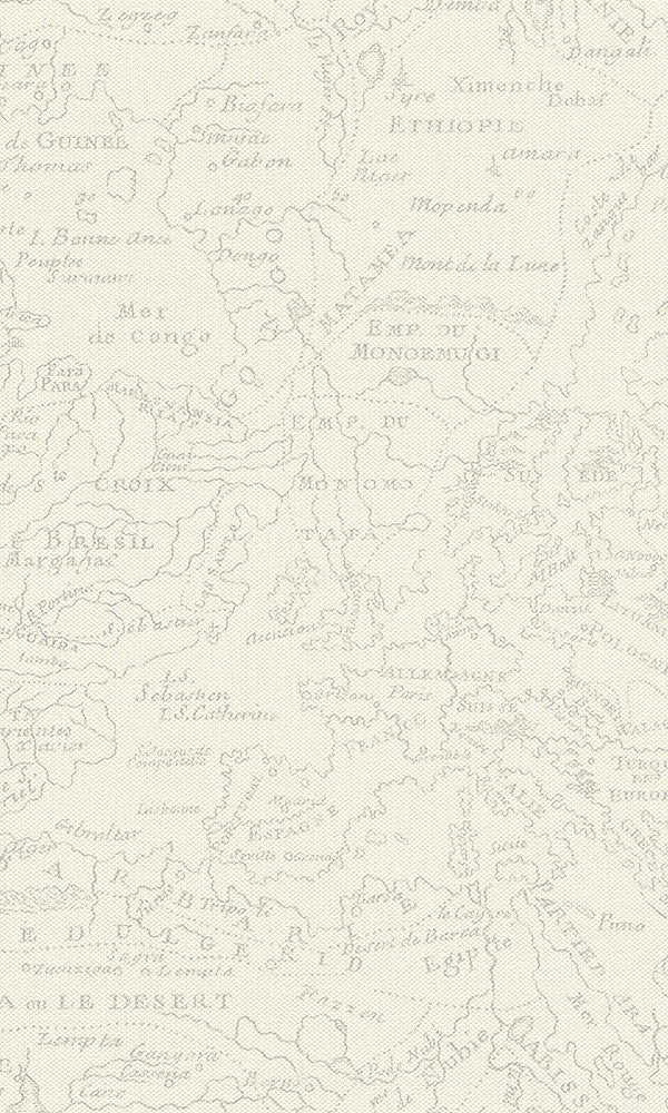 Beige Vintage Lined Map R6154