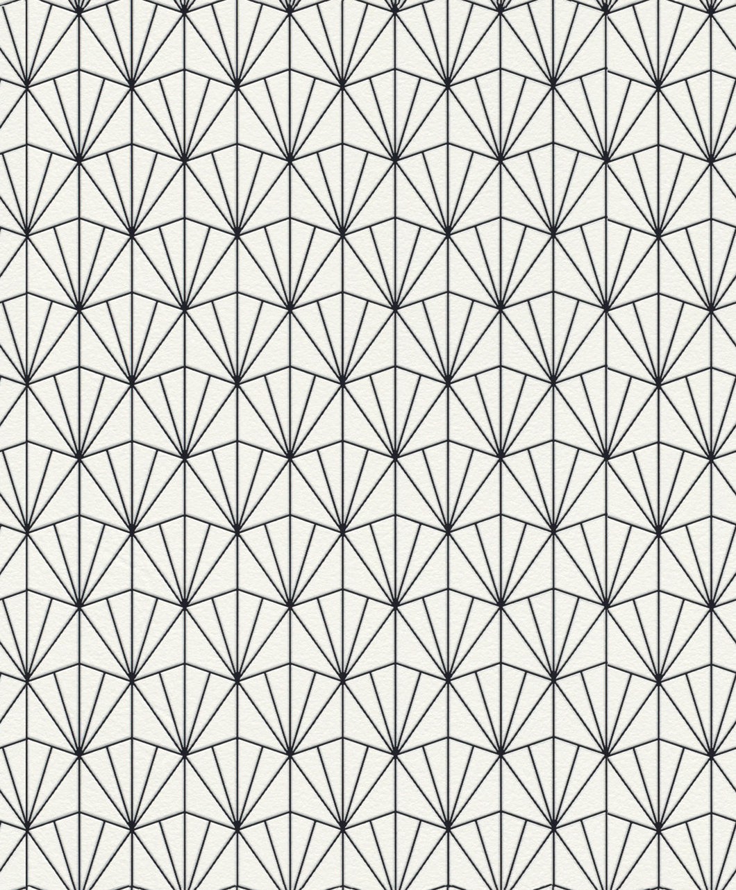 Modern Geometric Black Fan Wallpaper R4396