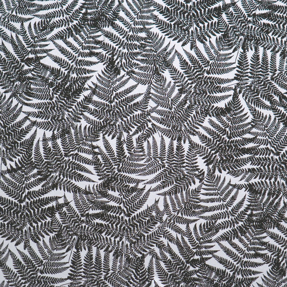 Black and White Abstract Fern Wallpaper R1529