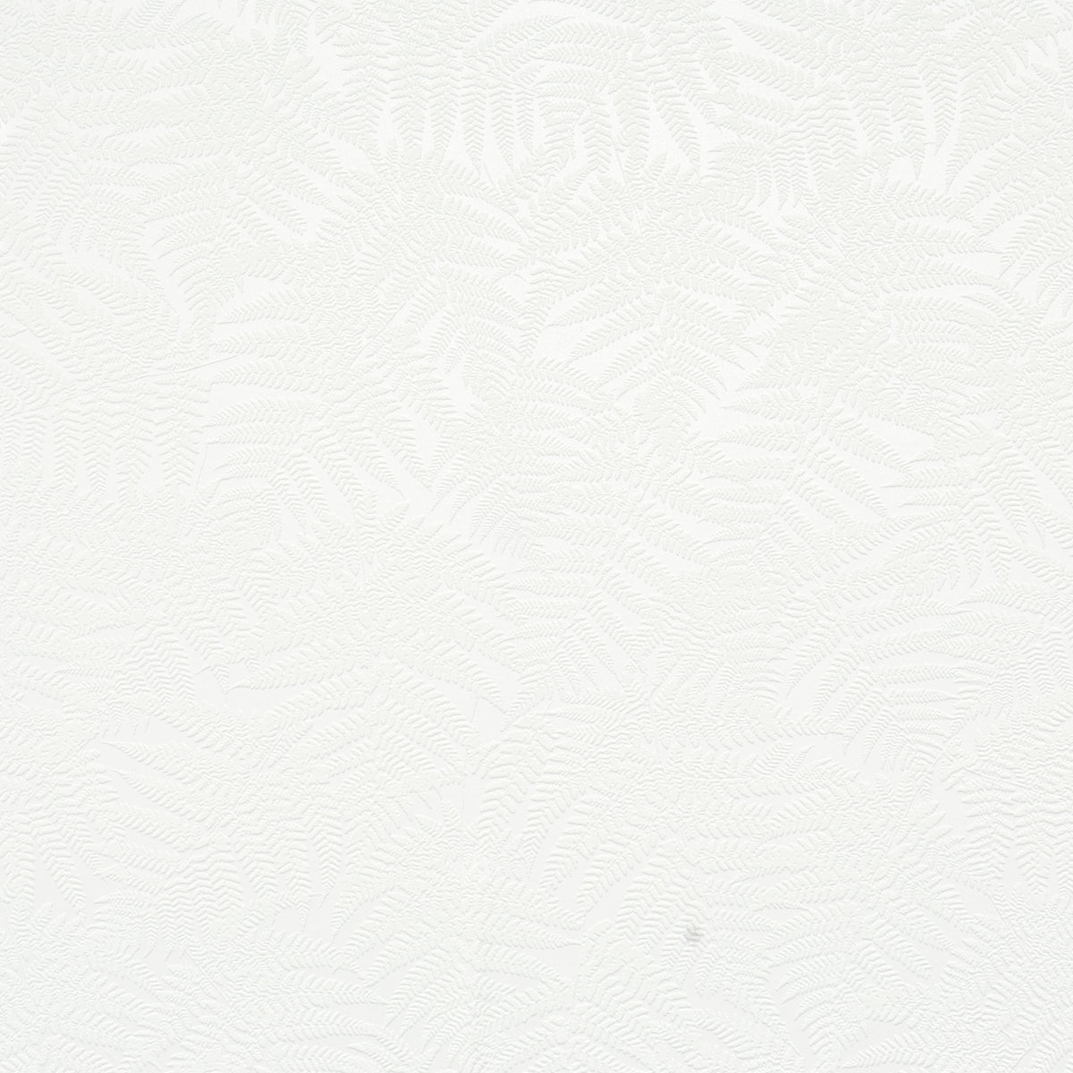 Fern R1530
