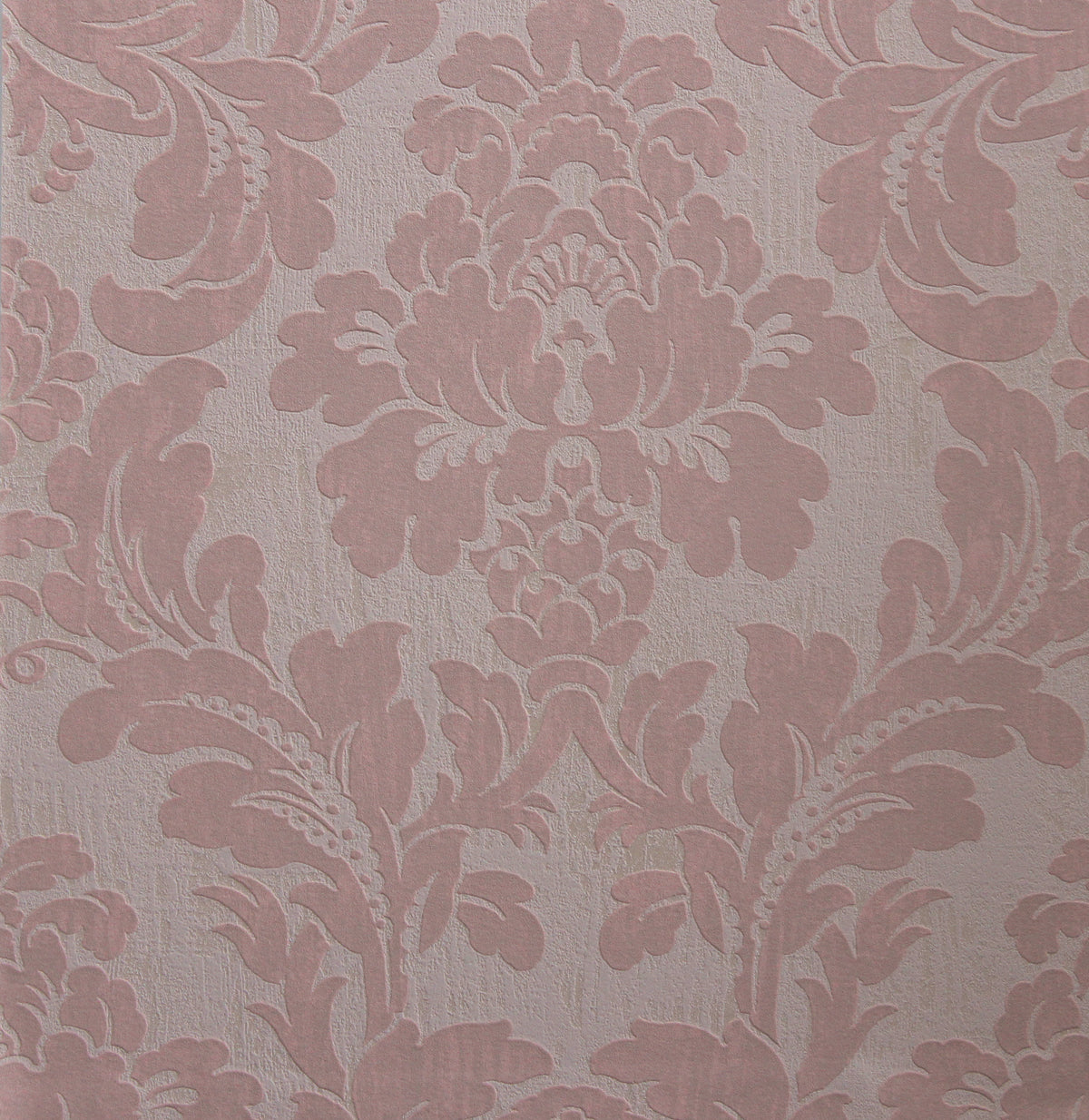 Rose Everlasting R2681