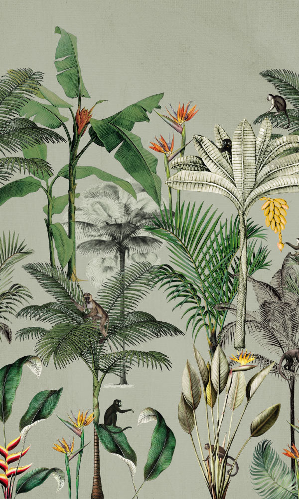 Nature Wallpaper Mural | White Above the Tropics Wallpaper Mural M9827 ...