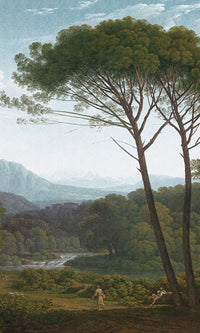 Under the Tall Trees Mural Wallpaper M9408