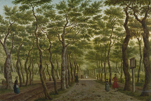 Footpath Under the Trees Digital Wallpaper M9411 - Sample