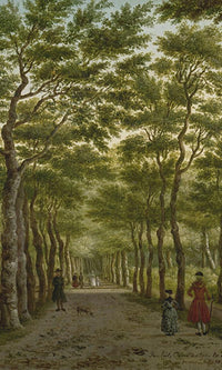 Footpath Under the Trees Digital Wallpaper M9411 - Sample