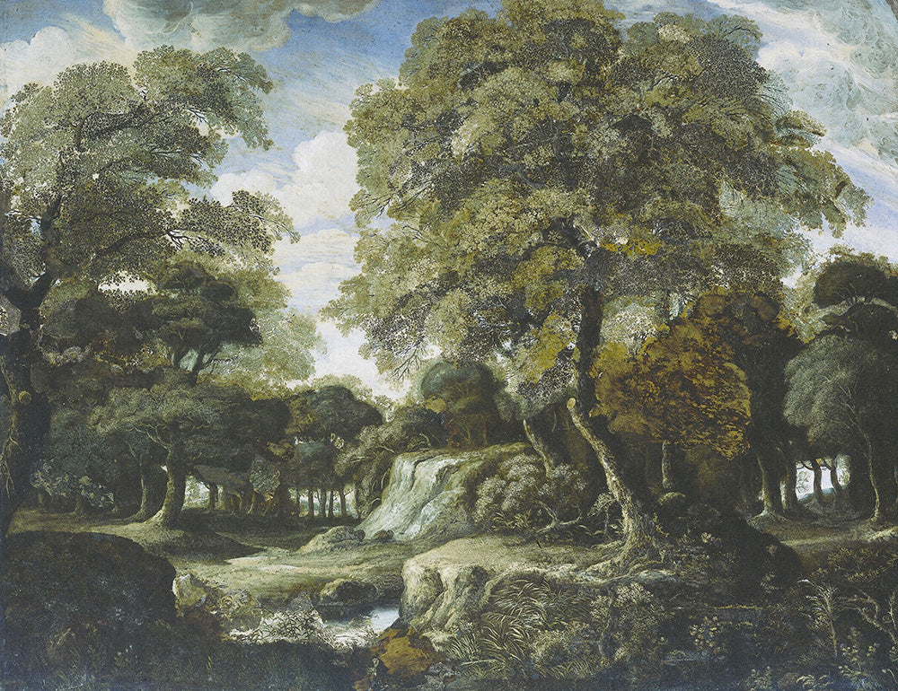 Lush Forest Landscape Wall Mural M9414