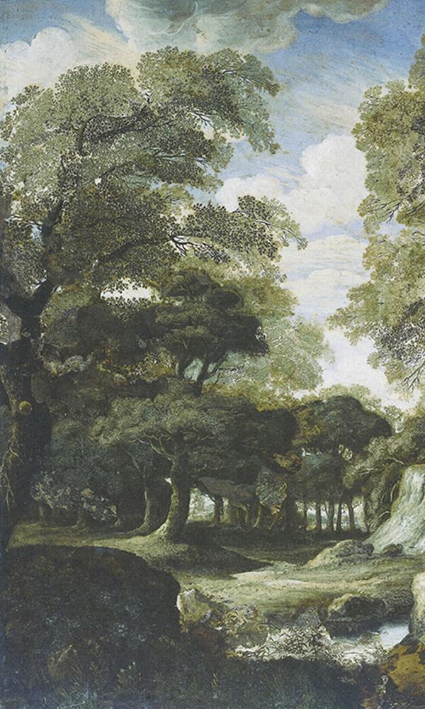 Lush Forest Landscape Mural M9414 | Digital Home & Office Wallpaper