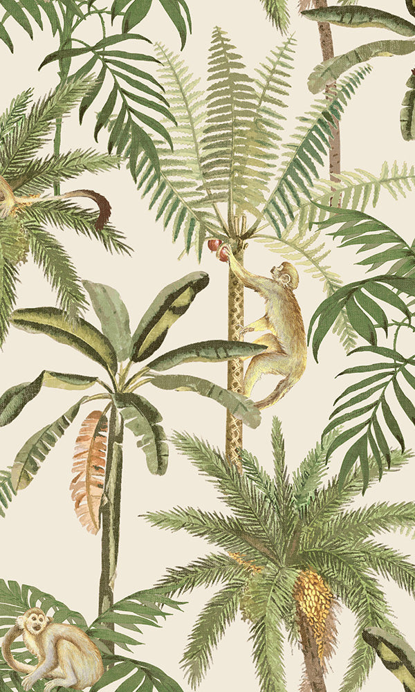 tropical monkeys wallpaper