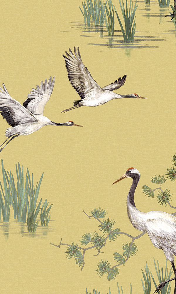 tranquil cranes in water zen wallpaper