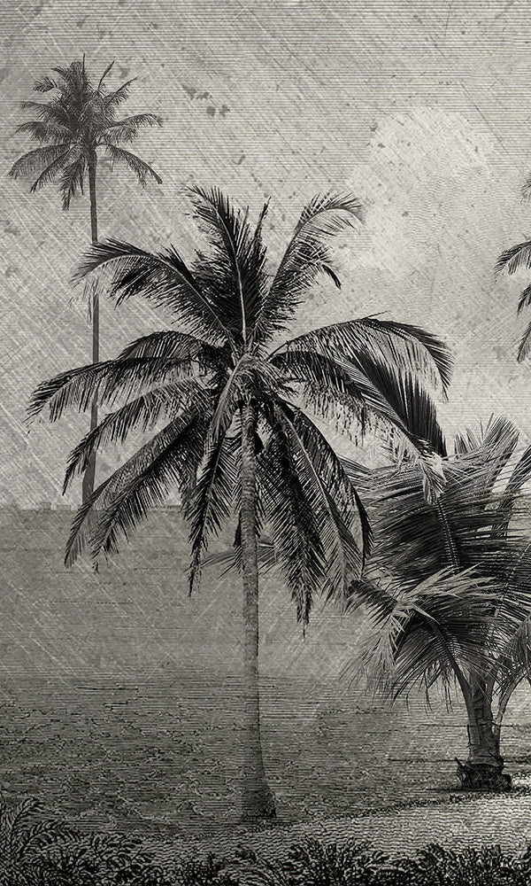 Vintage Tropical Illustration Mural Wallpaper M9589