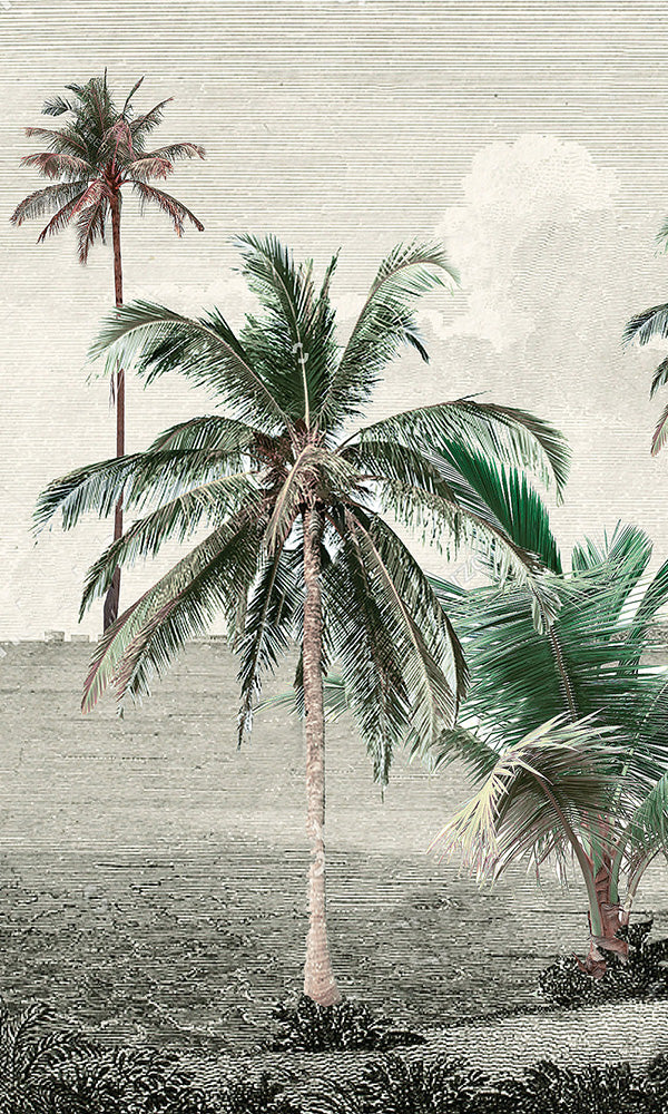 Vintage Tropical Illustration 2 Mural Wallpaper M9591