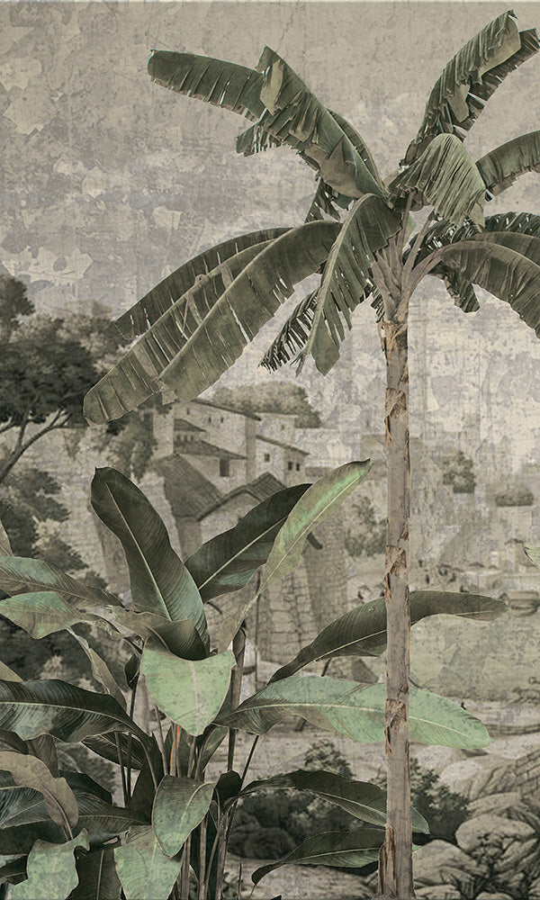 Weathered Tropical Landscape 3 M9631