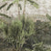 Weathered Landscape 4 (this color)