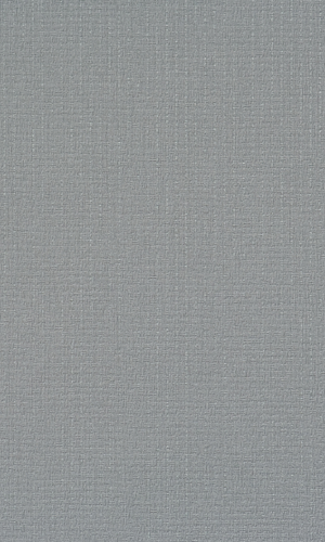 Ash Gray Plain Contemporary Wallpaper R2408