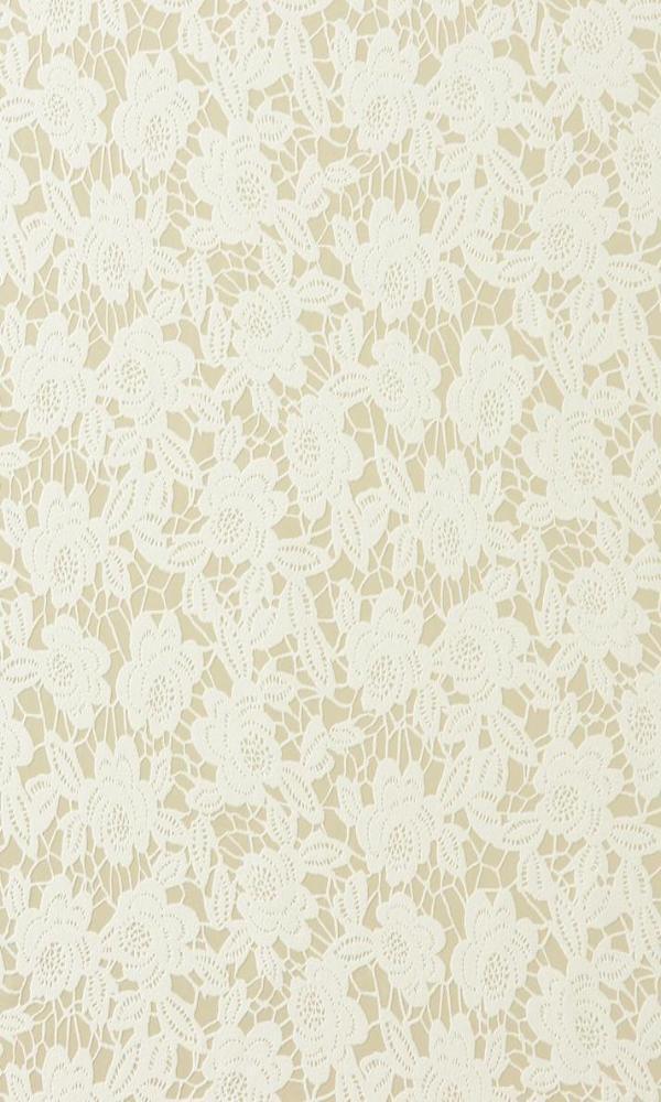 Beige Rose Wallpaper Floral Wallpaper SR1796