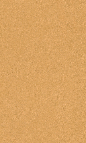 Bronze Fur Transitional Wallpaper R2337