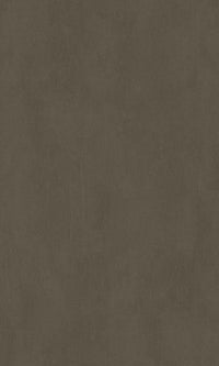 Brown Minimalistic Texrtured Commercial Wallpaper C7345