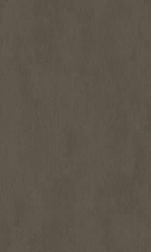 Brown Minimalistic Texrtured Commercial Wallpaper C7345