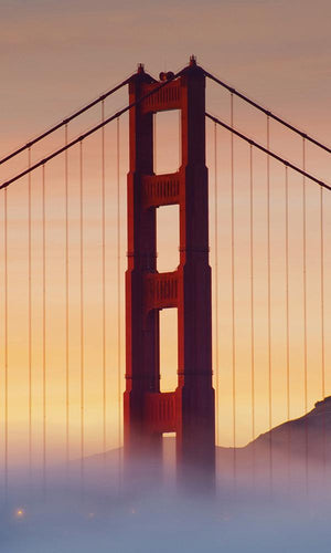 San Fransisco Bridge Under Fog - Sample
