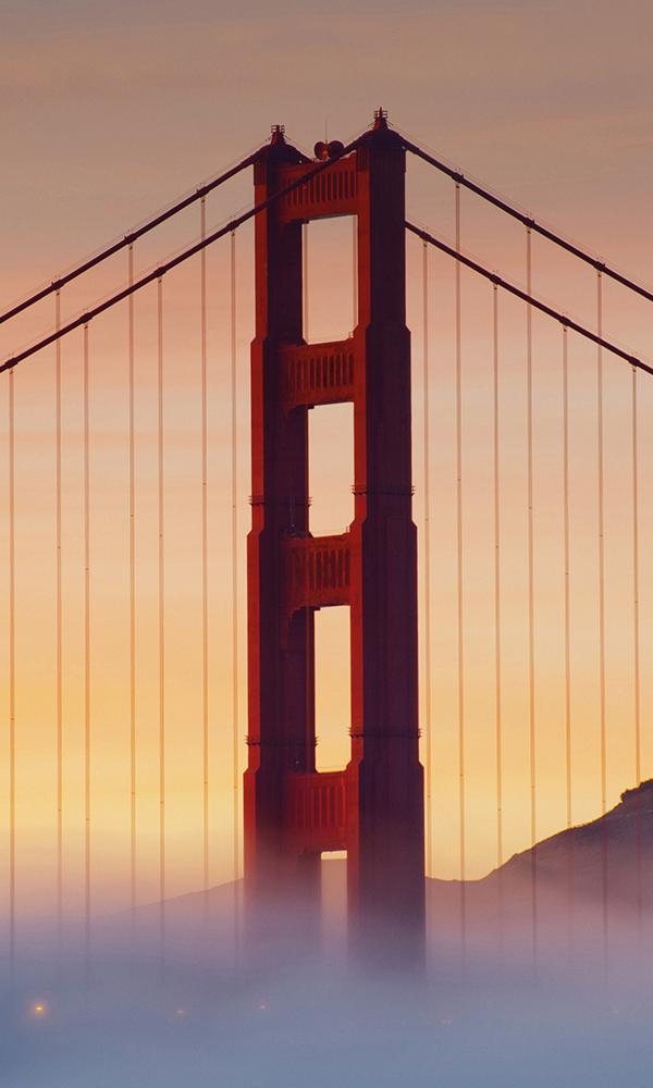 San Fransisco Bridge Under Fog - Sample
