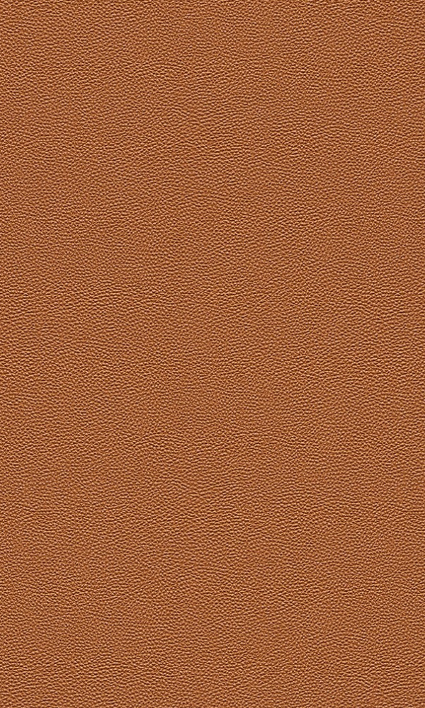 Contemporary Rough Brown Leather Wallpaper R3650