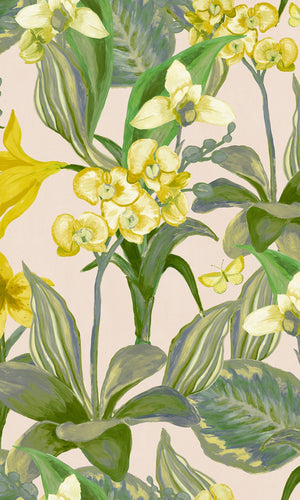 Crème & Green Hand Painted Orchids Floral Wallpaper R8141