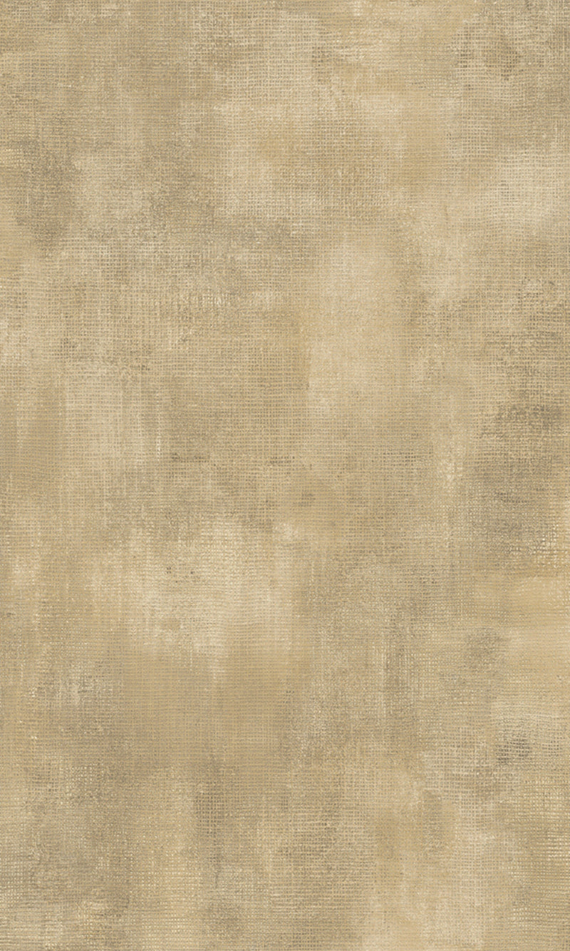 Greige Plain Textured Wallpaper R8203 Walls Republic US