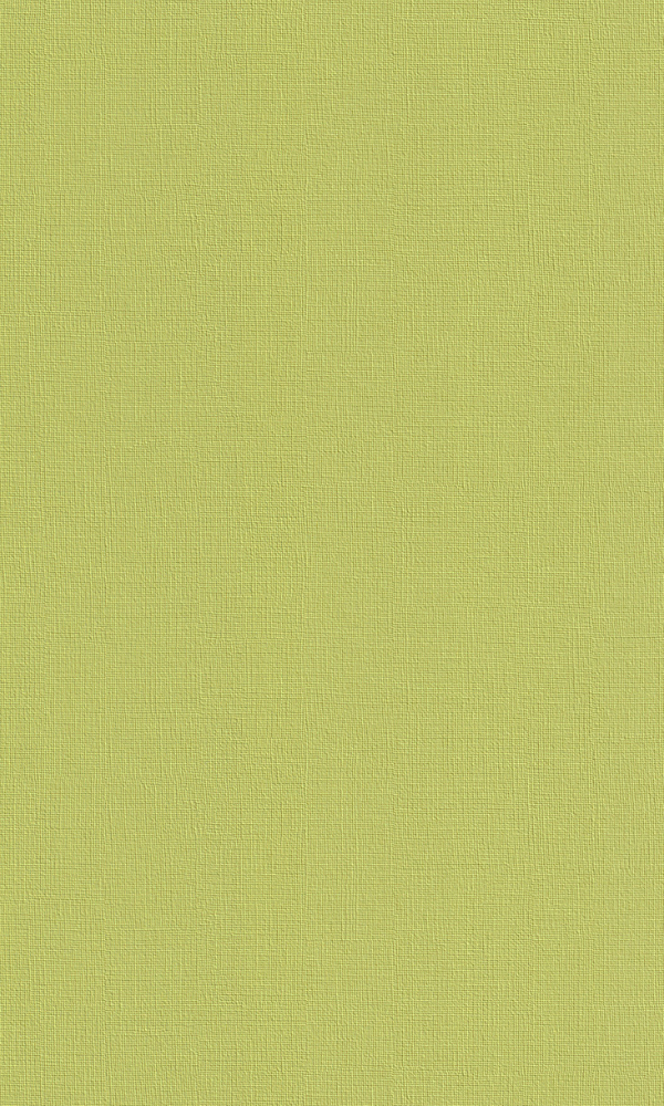 Light Green Touch Textured Wallpaper R2477