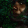 Green African