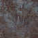 Ash And Brown (this color)