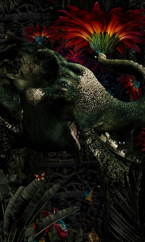 Orange Indian Elephant in the Forest Wallpaper Mural M1052