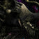 Violet Indian Elephant in The Forest Wallpaper Mural M1053